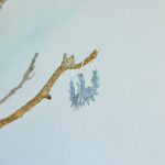 indiski-papuosalai-zalvariniai-papuosalai-zalvariniai-auskarai-zalvariniai-auskarai-16