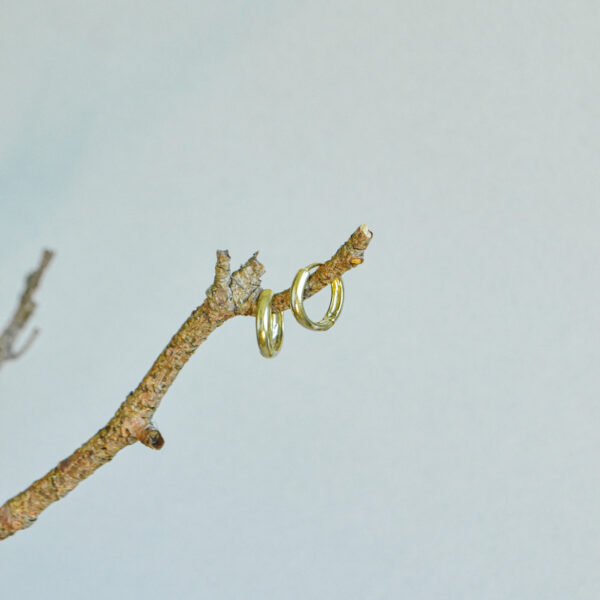 indiski-papuosalai-zalvariniai-papuosalai-zalvariniai-auskarai-zalvariniai-auskarai-5