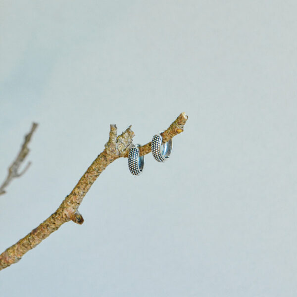 indiski-papuosalai-zalvariniai-papuosalai-zalvariniai-auskarai-zalvariniai-auskarai-8