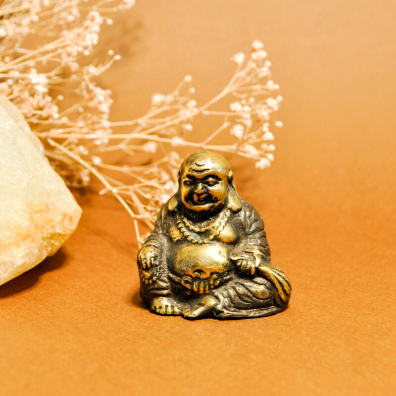 namu-dekoras-zalvarines-statulos-zalvarine-statula-laimingas-buda-2