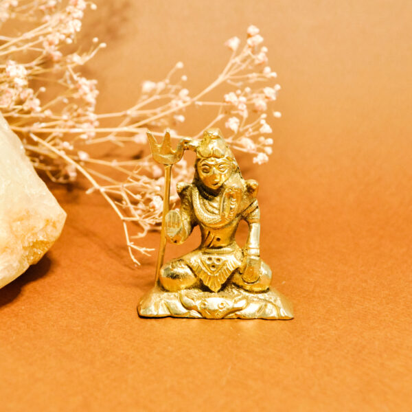 namu-dekoras-zalvarines-statulos-zalvarine-statula-siva