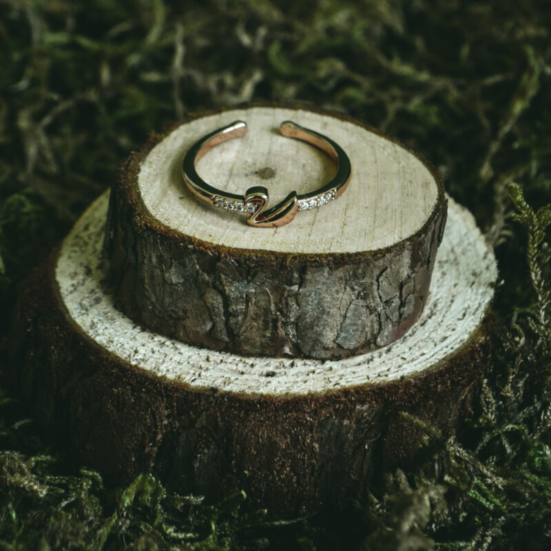 indiski-papuosalai-papuosalai-is-zalvario-zalvariniai-ziedai-zalvarinis-ziedas-su-cirkonio-kristalais-12