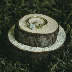 indiski-papuosalai-papuosalai-is-zalvario-zalvariniai-ziedai-zalvarinis-ziedas-su-cirkonio-kristalais-22