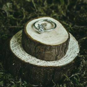 indiski-papuosalai-papuosalai-is-zalvario-zalvariniai-ziedai-zalvarinis-ziedas-12