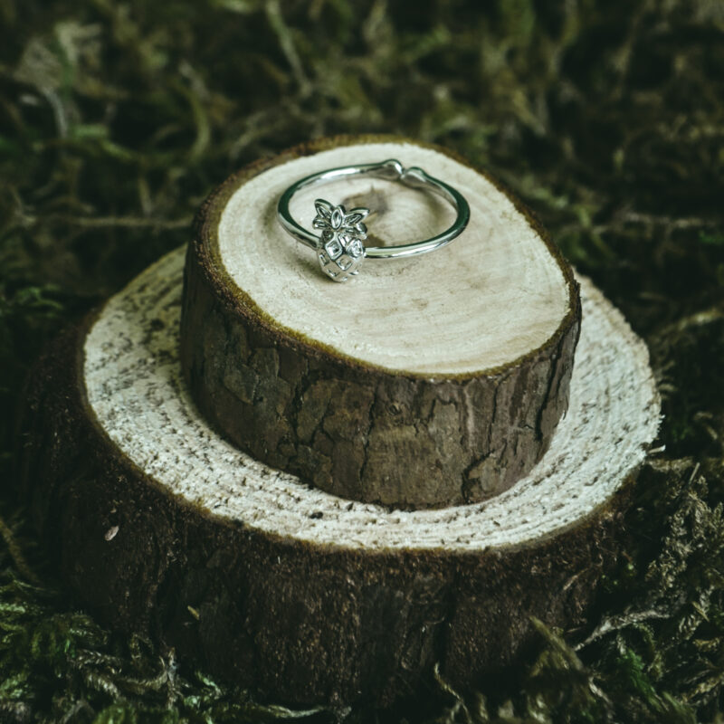 indiski-papuosalai-papuosalai-is-zalvario-zalvariniai-ziedai-zalvarinis-ziedas-12