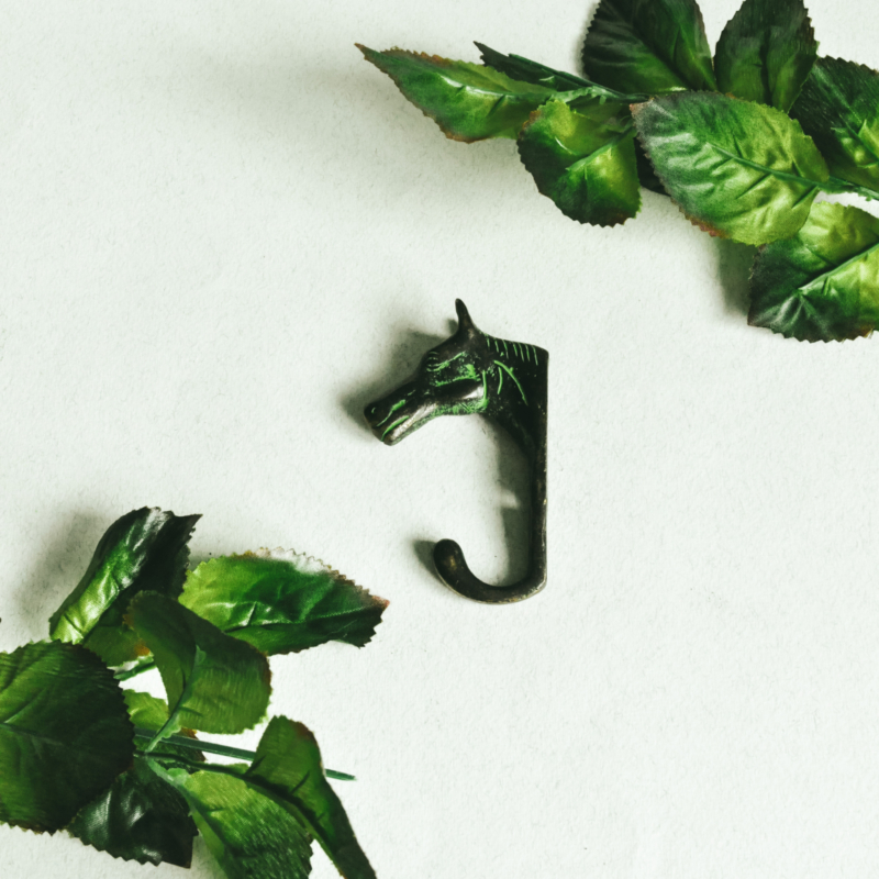 namu-dekoras-zalvarines-kabyklos-zalvarine-kabykla-arklys