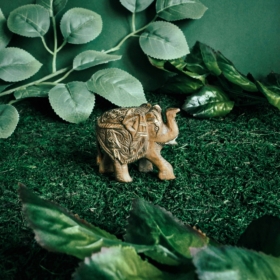 namu-dekoras-medines-dekoracijos-medinis-dramblys-88