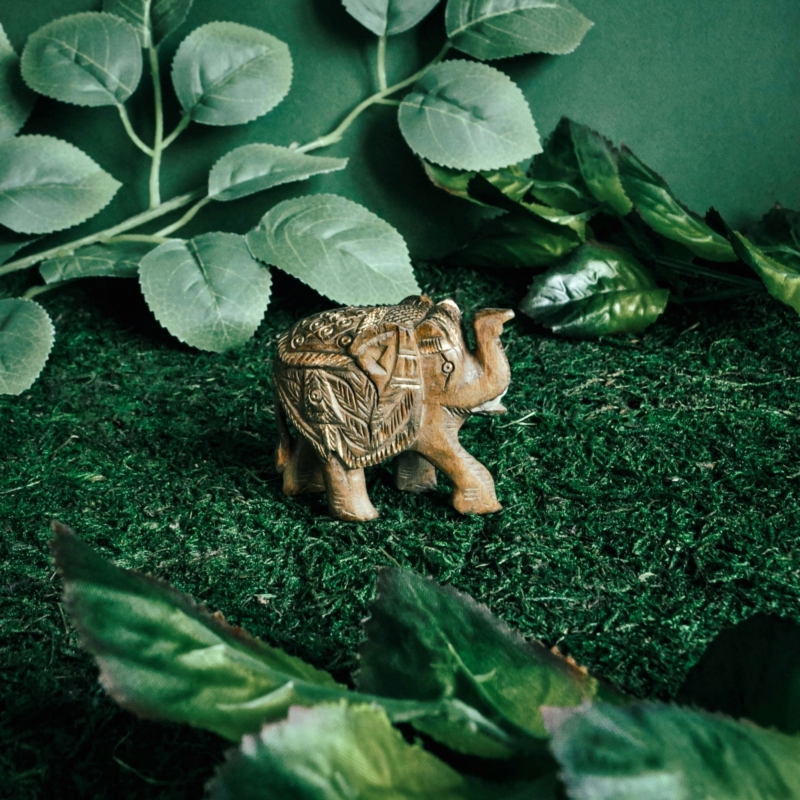 namu-dekoras-medines-dekoracijos-medinis-dramblys-88