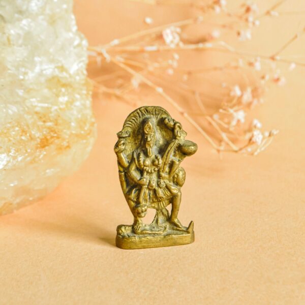 namu-dekoras-zalvarines-statulos-zalvarine-statulele-kali