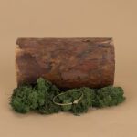 indiski-papuosalai-papuosalai-is-zalvario-zalvarines-apyrankes-zalvarine-apyranke-su-gyvate-12-2