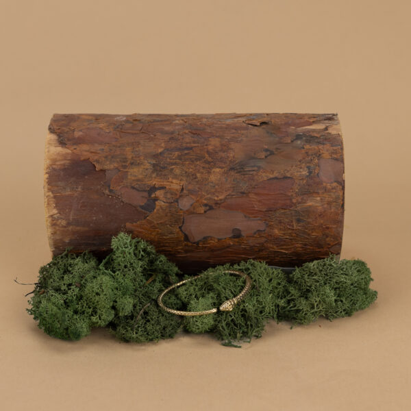 indiski-papuosalai-papuosalai-is-zalvario-zalvarines-apyrankes-zalvarine-apyranke-su-gyvate-12-2