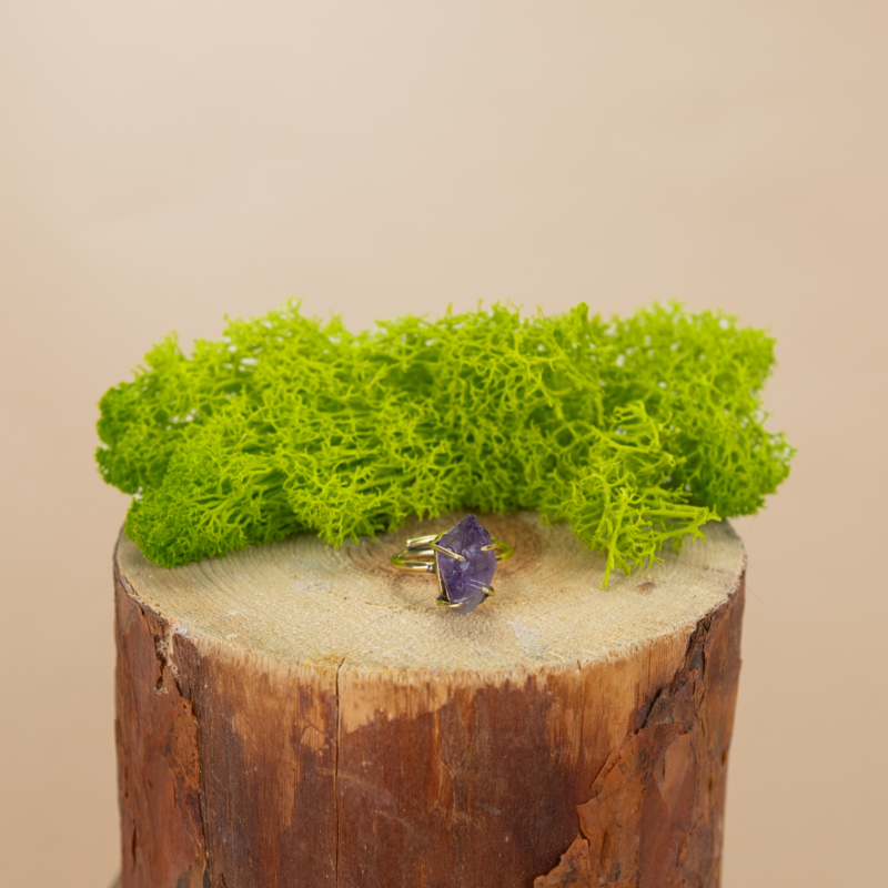 indiski-papuosalai-zalvariniai-papuosalai-zalvariniai-ziedai-zalvarinis-ziedas-su-kristalu-2024-neapdirbtu-ametistu