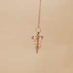 aksesuarai-is-indijos-svytuokles-varine-svytuokle-2