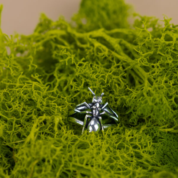 indiski-papuosalai-zalvariniai-papuosalai-zalvariniai-ziedai-zalvarinis-ziedas-2024-7-1