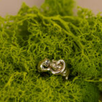 indiski-papuosalai-zalvariniai-papuosalai-zalvariniai-ziedai-zalvarinis-ziedas-2024-5-2