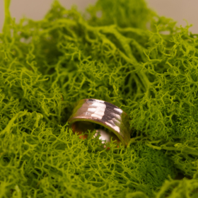 papuosalai-is-indijos-variniai-ziedai-varinis-ziedas-2