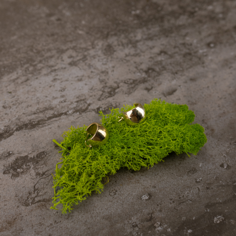 indiski-papuosalai-papuosalai-is-zalvario-zalvariniai-auskarai-zalvariniai-auskarai-2024-2