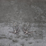 indiski-papuosalai-papuosalai-is-zalvario-zalvariniai-auskarai-zalvariniai-auskarai-2024-kregzdutes-sidabrine