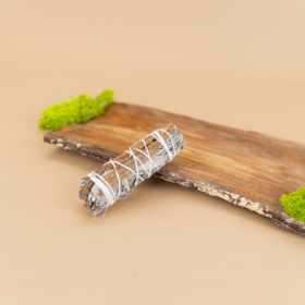 kvapai-is-indijos-baltasis-salavijas-baltojo-salavijo-cinamono-rysulelis