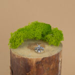 indiski-papuosalai-zalvariniai-papuosalai-zalvariniai-ziedai-zalvarinis-ziedas-2024-7-3