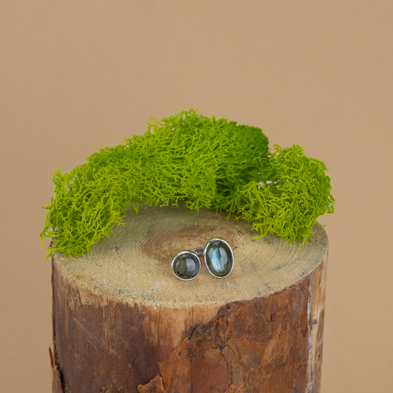 indiski-papuosalai-zalvariniai-papuosalai-zalvariniai-ziedai-zalvarinis-ziedas-2024-10-1