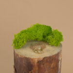 indiski-papuosalai-zalvariniai-papuosalai-zalvariniai-ziedai-zalvarinis-ziedas-2024-7-4