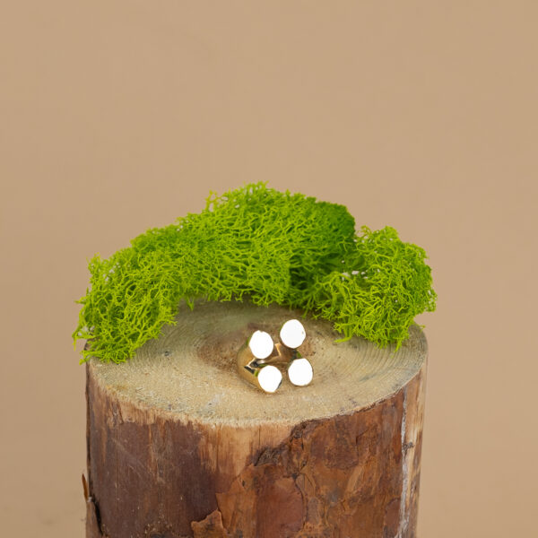 indiski-papuosalai-zalvariniai-papuosalai-zalvariniai-ziedai-zalvarinis-ziedas-2024-3-1