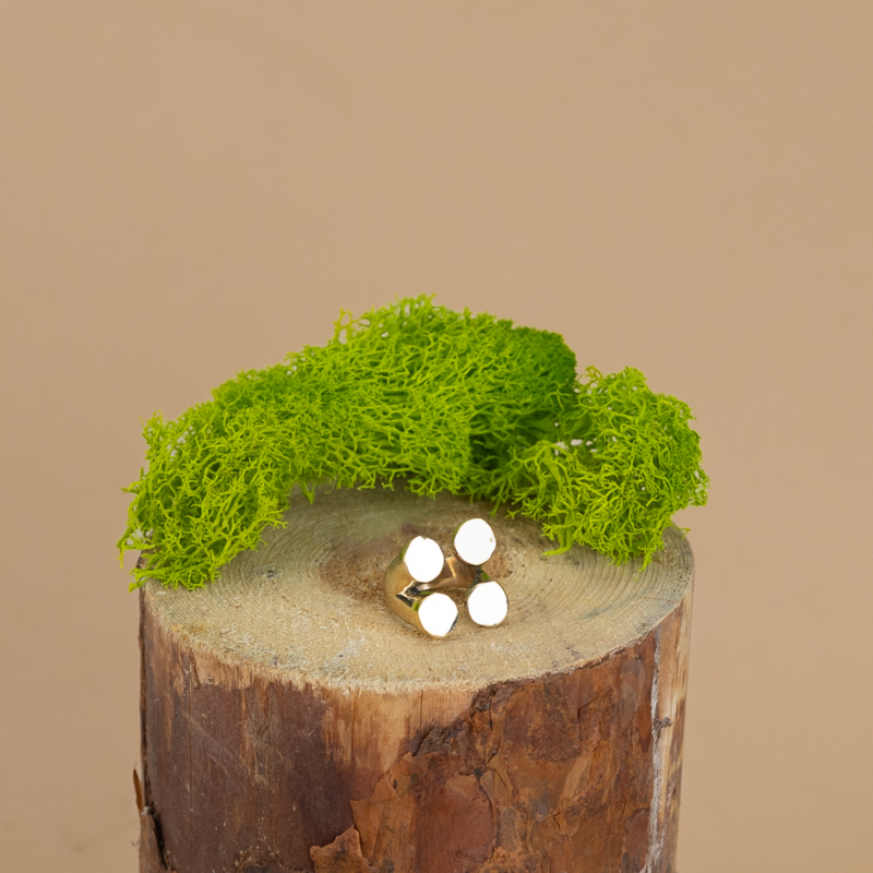 indiski-papuosalai-zalvariniai-papuosalai-zalvariniai-ziedai-zalvarinis-ziedas-2024-3-1