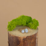 indiski-papuosalai-zalvariniai-papuosalai-zalvariniai-ziedai-zalvarinis-ziedas-2024-10-2