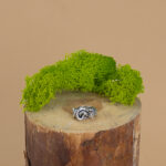 indiski-papuosalai-zalvariniai-papuosalai-zalvariniai-ziedai-zalvarinis-ziedas-2024-5-4