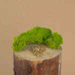 indiski-papuosalai-zalvariniai-papuosalai-zalvariniai-ziedai-zalvarinis-ziedas-2024-4-4