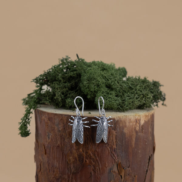 indiski-papuosalai-papuosalai-is-zalvario-zalvariniai-auskarai-zalvariniai-auskarai-2024-cikada-sidabrine