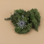 indiski-papuosalai-zalvariniai-pakabukai-zalvarinis-pakabukas-saule-su-kristalu-sidabrine-ametistas