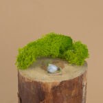 indiski-papuosalai-zalvariniai-papuosalai-zalvariniai-ziedai-zalvarinis-ziedas-su-kristalu-2024-2-vaivorykstinis-menulio-akmuo-s