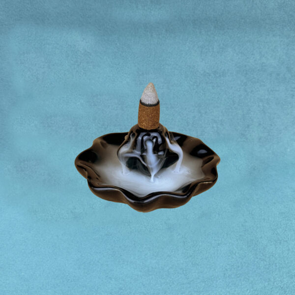 smilkalai-is-indijos-backflow-smilkalines-lotosas