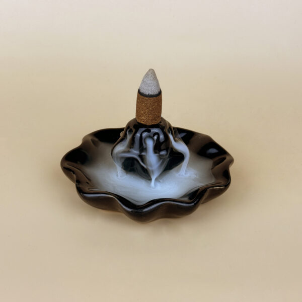 smilkalai-is-indijos-backflow-smilkalines-lotosas