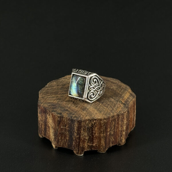 indiski-papuosalai-zalvariniai-papuosalai-zalvariniai-ziedai-zalvarinis-ziedas-su-kristalu-2024-06-26-sidabrine-labradoritas