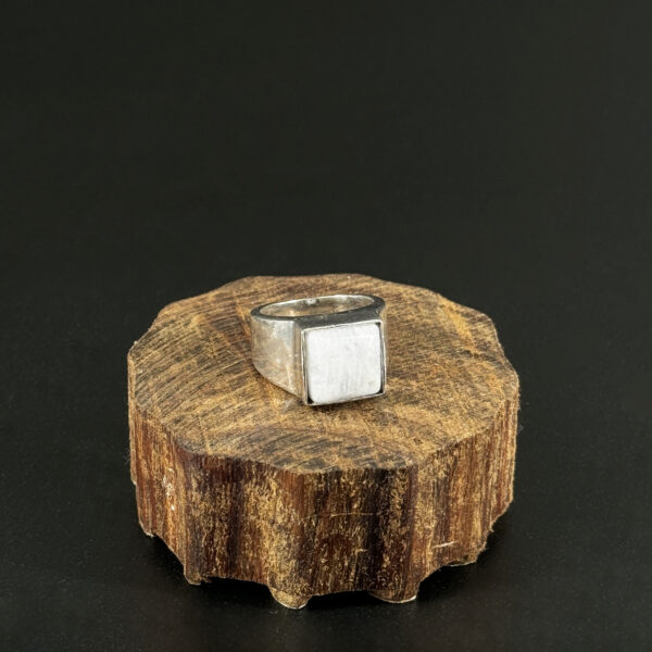 indiski-papuosalai-zalvariniai-papuosalai-zalvariniai-ziedai-zalvarinis-ziedas-su-kristalu-2024-06-sidabrine-menulio-akmuo-1