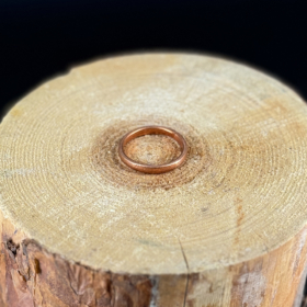 papuosalai-is-indijos-variniai-ziedai-varinis-ziedas-2024-1