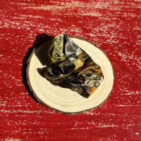 aksesuarai-is-indijos-aksesuarai-plaukams-silkines-plauku-gumytes-silkine-plauku-gumyte-is-vintazinio-sario-10