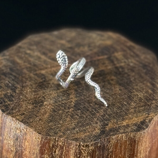 papuosalai-is-indijos-zalvariniai-auskarai-auskaras-i-kremzle-gyvate-2