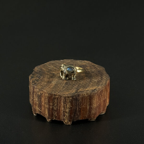 indiski-papuosalai-zalvariniai-apapuosalai-zalvariniai-ziedai-zalvarinis-ziedas-su-drambliu-1