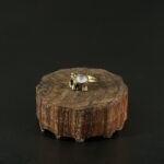 indiski-papuosalai-zalvariniai-apapuosalai-zalvariniai-ziedai-zalvarinis-ziedas-su-drambliu-2