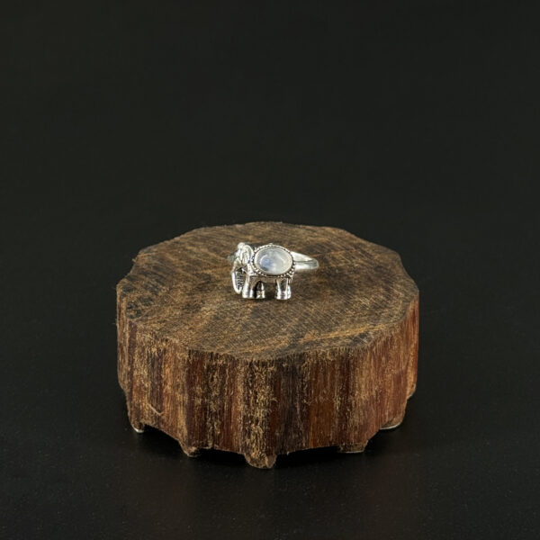 indiski-papuosalai-zalvariniai-apapuosalai-zalvariniai-ziedai-zalvarinis-ziedas-su-drambliu-4