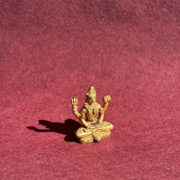 namu-dekoras-zalvarines-statulos-zalvarine-statula-siva-205-10