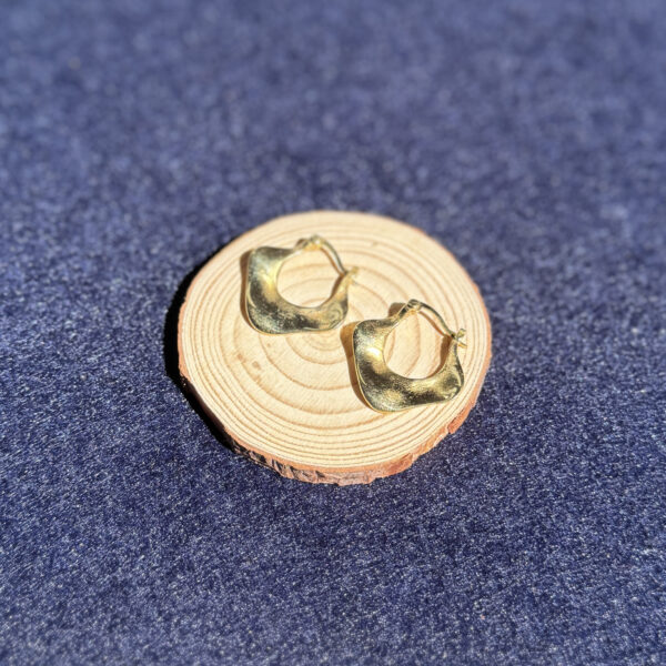 indiski-papuosalai-papuosalai-is-zalvario-zalvariniai-auskarai-zalvariniai-auskarai-25-5-2-a