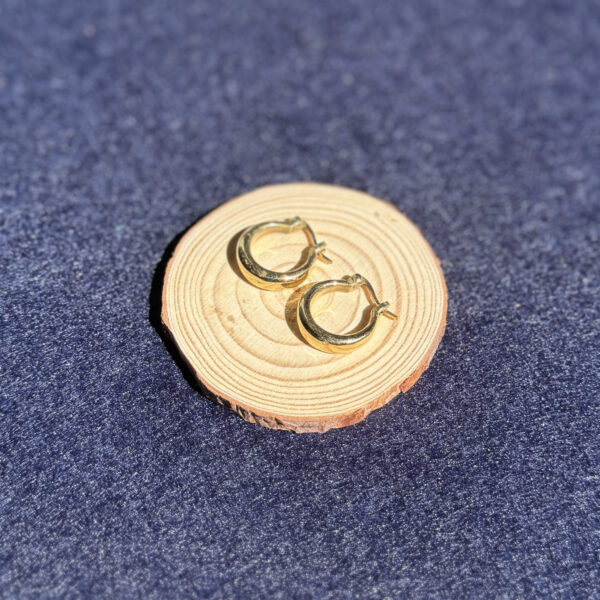 indiski-papuosalai-papuosalai-is-zalvario-zalvariniai-auskarai-zalvariniai-auskarai-25-5-7-a