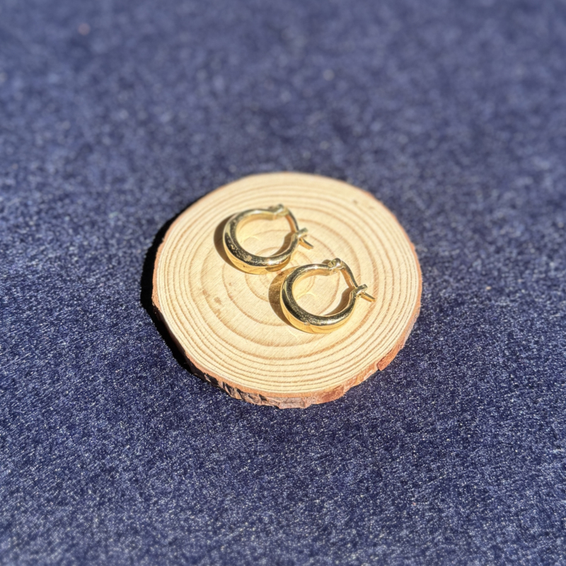 indiski-papuosalai-papuosalai-is-zalvario-zalvariniai-auskarai-zalvariniai-auskarai-25-5-7-a