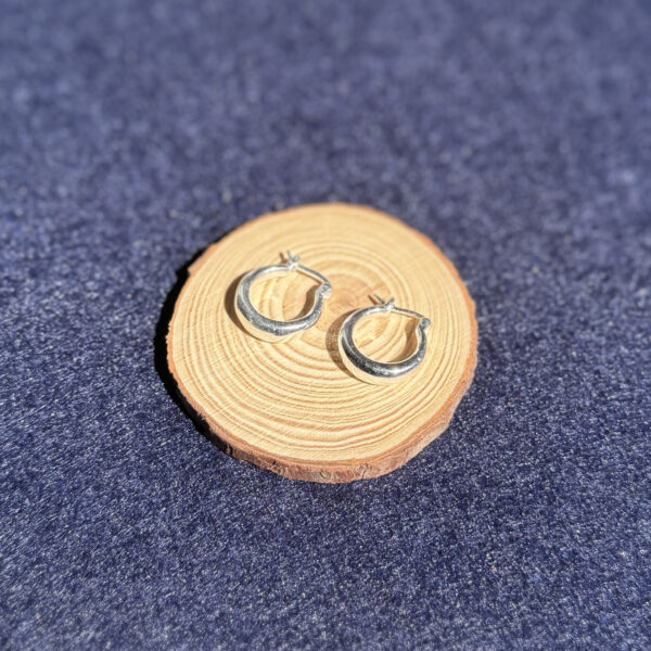 indiski-papuosalai-papuosalai-is-zalvario-zalvariniai-auskarai-zalvariniai-auskarai-25-5-7-s