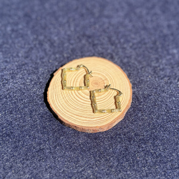 indiski-papuosalai-papuosalai-is-zalvario-zalvariniai-auskarai-zalvariniai-auskarai-bambukas-a